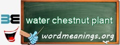 WordMeaning blackboard for water chestnut plant